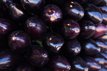 Fresh eggplant on market counter