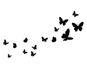 tombul butterfly black flock on white background