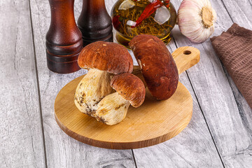 Raw natural wild porchini mushrooms