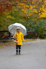 Beautiful blond preschool child, playing with leaves, mushrooms and pumpkins in the rain, holding umbrella, autumn day