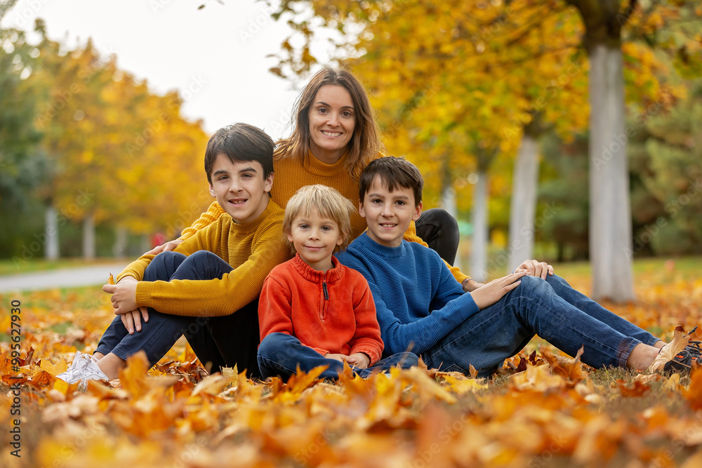 Poster Cute happy children, siblings, boys, playing with knitted toys in the park, autumntime