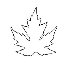 Maple leaf line icon. Vector graphics