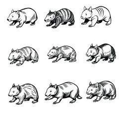 Wombat Nuzzling Line Art Vector