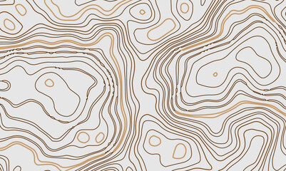 Abstract topography circle with contour map waves paper topo relief line map mountain background. Curved line topo seamless topography ornament design. Vector background.