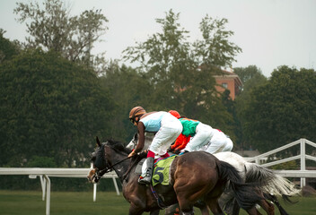 horse and rider on a horse