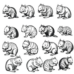 Obraz premium Wombat Running Line Art Vector 