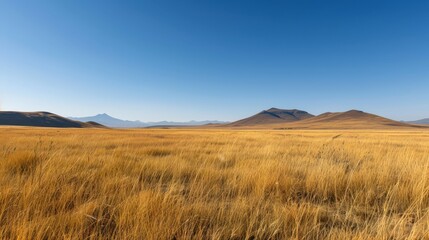 Fototapeta premium In the serene landscape, expansive plains of golden grass dance in the breeze under a bright blue sky, with a majestic mountain range rising in the distance.