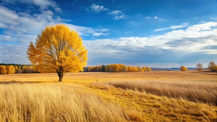 Fototapeta premium Autumn plain landscape with yellow leaves, low sky, and withered grass , fall, low sky, clouds, trees