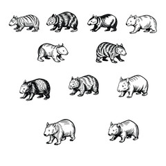Wombat Stretching Line Art Vector