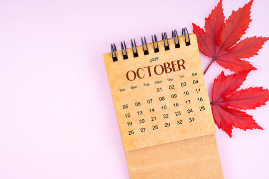 October 2025 monthly calendar and fall leaves on pink color background.