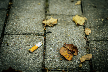 Close-up of a burnt cigarette butt lying on rough, textured pavement. The image highlights the environmental impact of littering and smoking, focusing in detail on the discarded item.