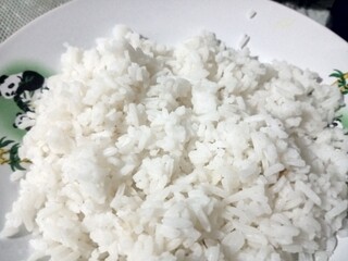 A close-up shot of freshly steamed white rice served on a decorative plate, ideal for use in food-related content or advertisements showcasing simple and staple meals.