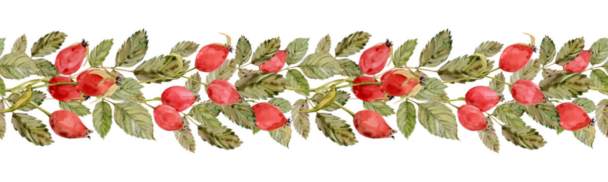 watercolor rose hips border, red berries, green leaves clip art preview