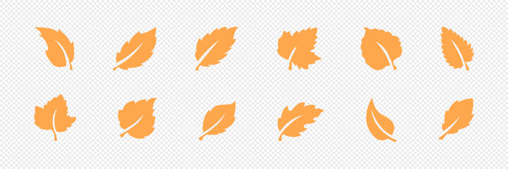 Autumn, cozy set  of leaves. Vector illustration.