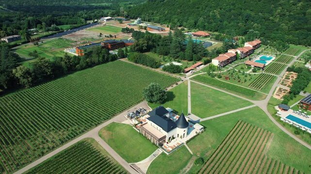 A drone camera soaring above the lush vineyards of Napareuli, in Georgia&rsquo;s northeastern region