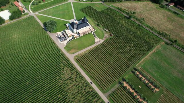A drone camera soaring above the lush vineyards of Napareuli, in Georgia&rsquo;s northeastern region
