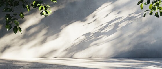 Sunlight casting soft leaf shadows on a smooth wall, creating a serene gradient transition from dark grey to light grey, enhancing a minimalistic atmosphere and tranquil setting