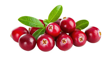 Cranberries isolated on white, transparent. Fresh raw red berries and green leaves closeup	