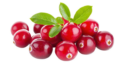 Cranberries isolated on white, transparent. Fresh raw red berries and green leaves closeup	