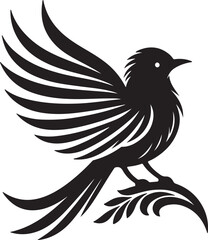 Bird silhouette vector illustration with  white  background.