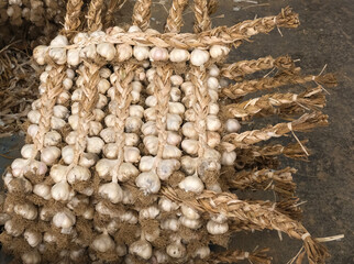 Close up of smoked garlic braids