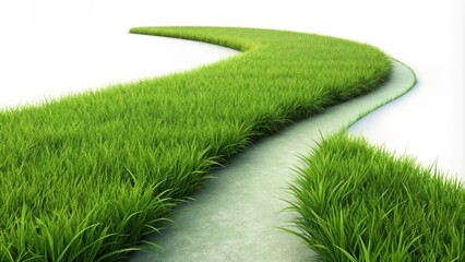 Winding path is leading through lush green grass on a white background