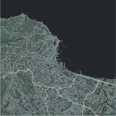 Map of Algiers in Algeria in a smooth dark style. Contains layered vector with roads water, parks, etc.