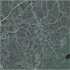 Map of Belo Horizonte in Brazil in a smooth dark style. Contains layered vector with roads water, parks, etc.