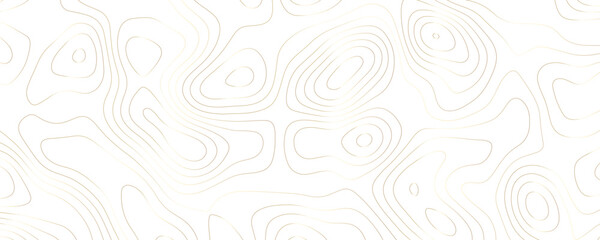 Premium Topographic Vector Illustration Featuring Organic Terrain Patterns and Flowing Contour Lines on a Wide Landscape
