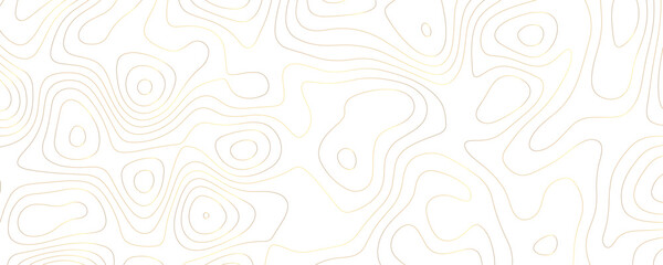 Premium Geometric Art with Organic Topography Featuring Gold Contour Lines and Abstract Mountain Landscape Sketches
