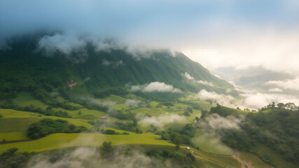 Fototapeta premium Misty Green Valley Landscape at Dawn