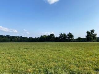 Hiking on the Schwanheimer Wiese in Frankfurt