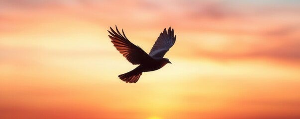 Fototapeta premium A silhouette of a bird in flight against a vibrant sunset, showcasing the beauty of nature and freedom.
