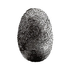 Vector black fingerprint in white isolated. background.Fingerprint Icon, Finger Print Identity Symbol, Grunge Thumbprint Sign, Fingerprint Silhouette, ID Graphic Element, Touch Vector Illustration.	
