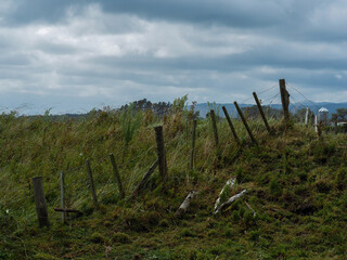 Fototapeta premium fence in the field