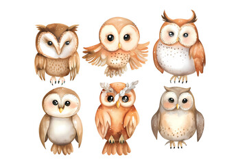 Fototapeta premium Cute painted watercolor owls on transparent background. A set of brown birds for use in children's books and articles