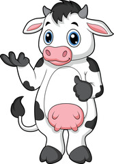 Cow calf standing holding something