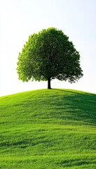 Solitary Green Tree, Symbol of Hope and Resilience, Stands Proud on a Lush Hill Under a Bright Sky