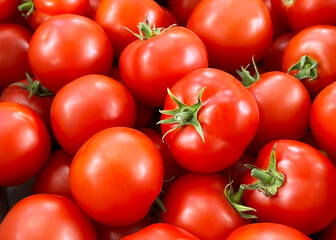 ripe red tomatoes close up