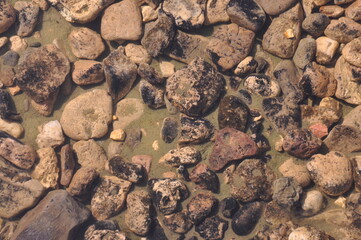 Rocks in the water