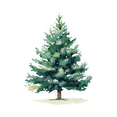 Fototapeta premium christmas tree isolated on white