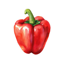 red pepper isolated on white
