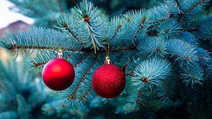 Festive Christmas tree branches with red decorations.