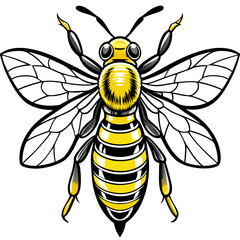 Bee SVG Cut File, Bumble Bee Svg, Honey Bee SvHoney bee logo design template with vector illustrationg, Honeycomb, Honey Drip Svg, Bee Clipart, 