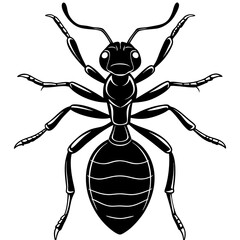 Ant, insect, bug, beetle, antenna, anthilol, colony, hardworking, black, useful , Ant logo vector illustration design