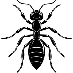 Ant, insect, bug, beetle, antenna, anthilol, colony, hardworking, black, useful , Ant logo vector illustration design