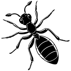 Ant, insect, bug, beetle, antenna, anthilol, colony, hardworking, black, useful , Ant logo vector illustration design