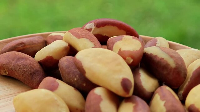 Brazil nuts rotating witn nature background.