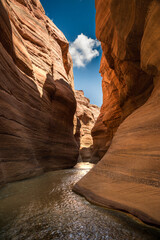 The Siq of Wadi al Hasa, Jordan