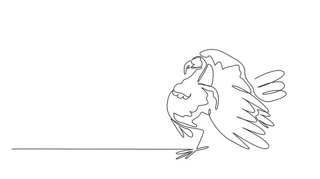 Animation of continuous one line drawing of the turkey. Large bird. Has long legs and a neck. Has a characteristic wide tail like fan. National Poultry Day. Self drawing animated. Full length motion